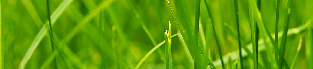 免费ddos在线攻击测试网站